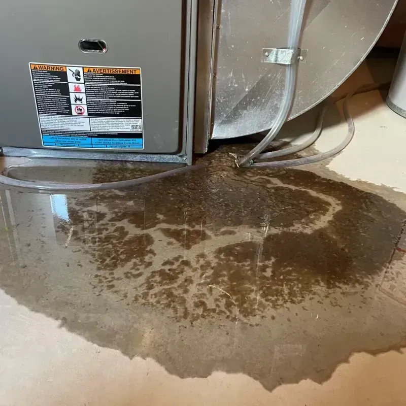 Appliance Leak Cleanup in Florence-Graham, CA